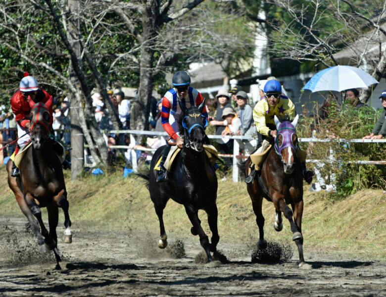 Les jockeys à suivre après les resultats des courses aujourd’hui