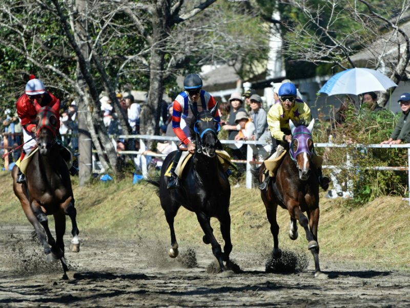 Les jockeys à suivre après les resultats des courses aujourd’hui