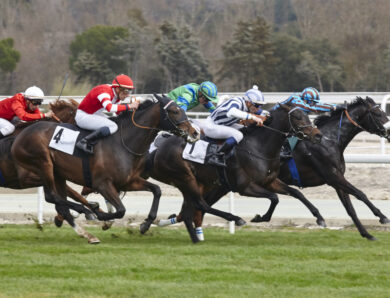 Pourquoi l’analyse des courses PMU de demain est essentielle pour vos paris