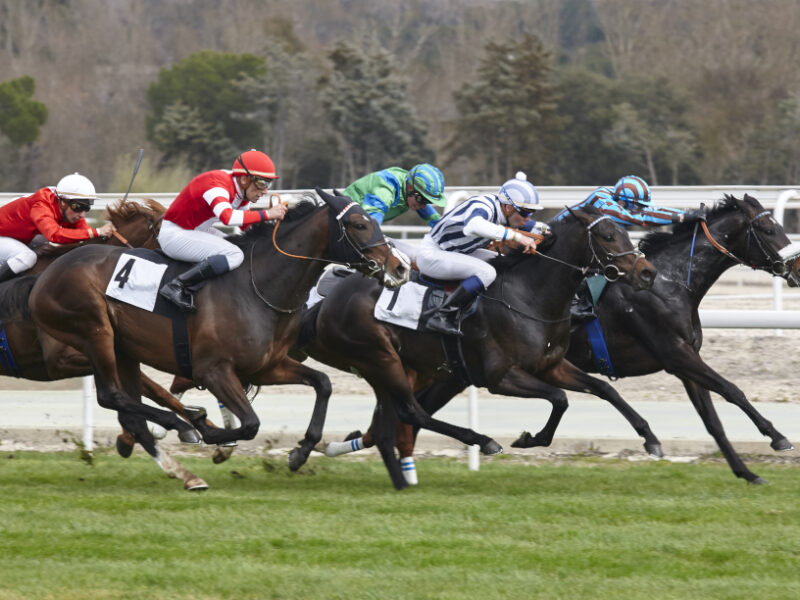 Pourquoi l’analyse des courses PMU de demain est essentielle pour vos paris