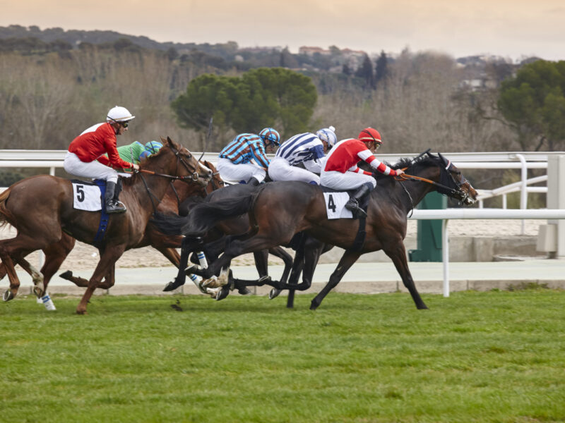 Misez gagnant grâce aux arrivées du quinté de demain et nos conseils d&rsquo;experts