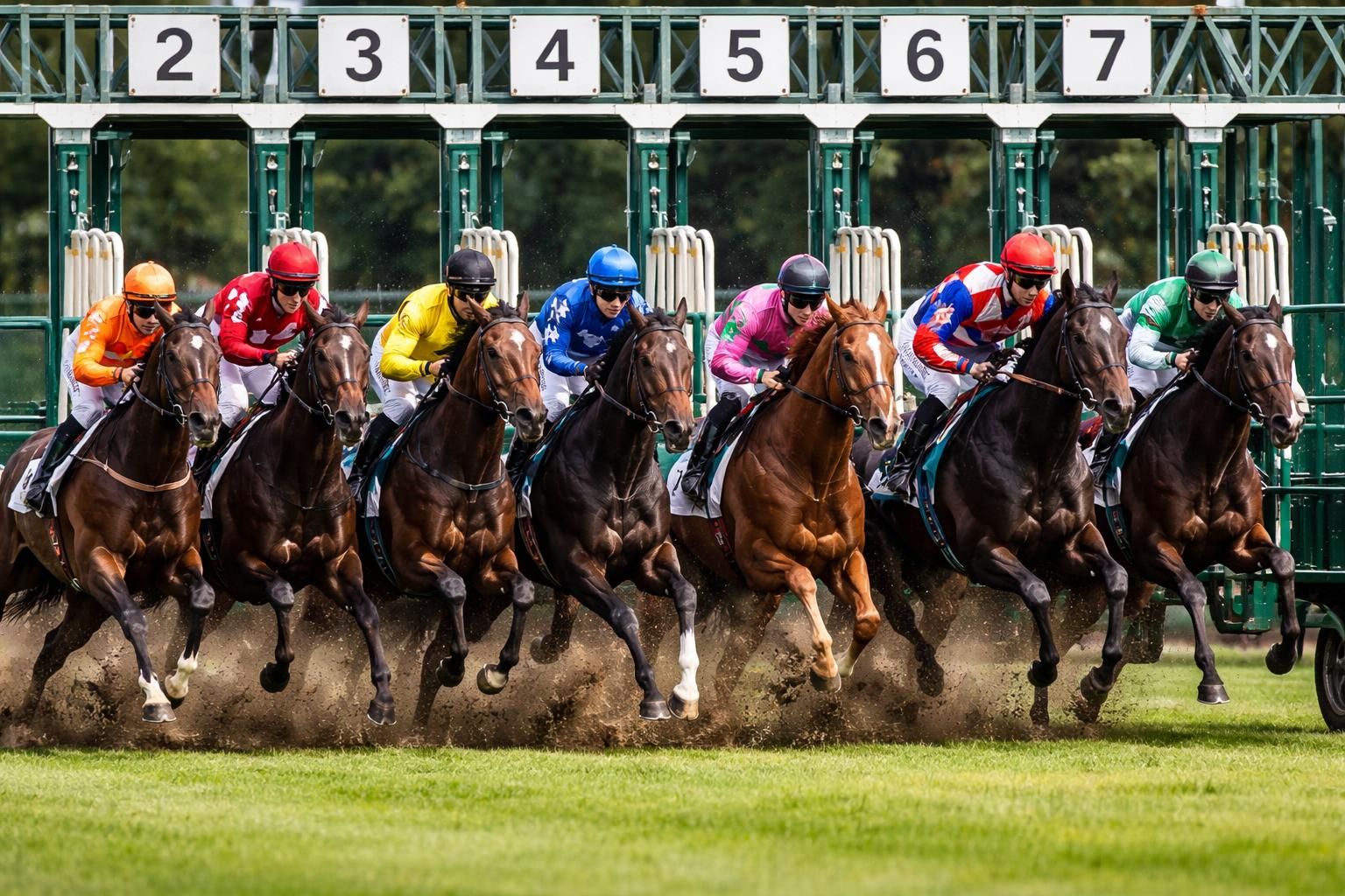 découvrez l'analyse des performances récentes pour la cote du quinté d'aujourd'hui et augmentez vos chances de gains grâce à nos conseils experts.